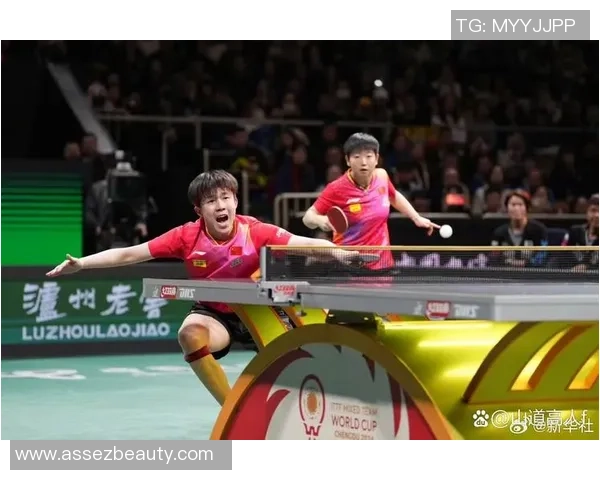 乒乓球作为中国的国球为何能够在国际舞台上持续辉煌与发展