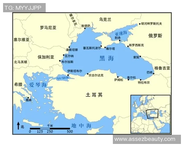 土耳其的地缘政治智慧：在东西方之间的微妙平衡与战略选择